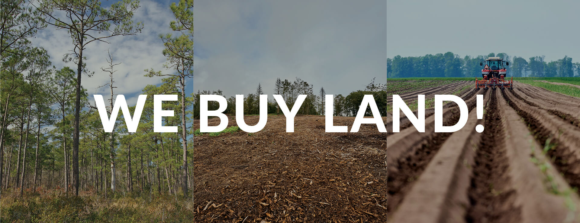 We Buy Land!